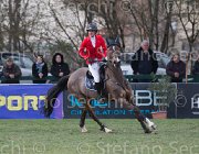 De Simone Teddy TosTour 2013- S5 7822 : Arezzo Equestrian Centre, De Simone Rossella, Teddy, Toscana Tour 2013, foto di Stefano Secchi ©